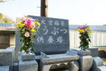 境内案内